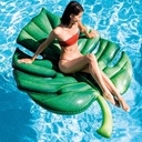 Intex Hoja De Palmera ( 213 X 142 Cm )