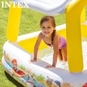 Pileta Inflable Intex C/techo Desmontable
